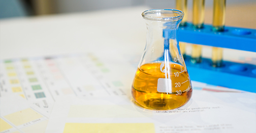 Servicios continuos de investigación y desarrollo y de intercambio de nuevos productos