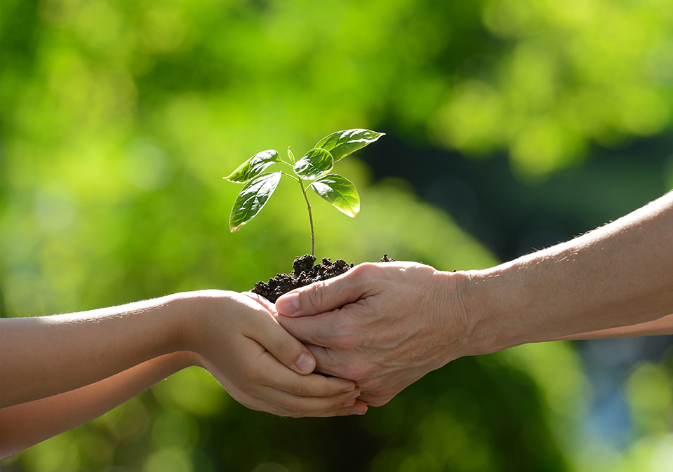 Suzhou Qingtian Nuevo Material Co., Ltd.